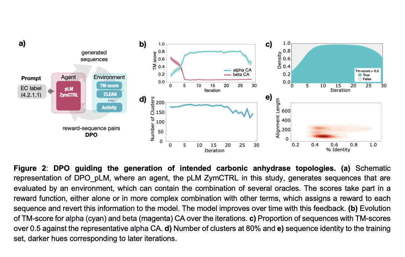  Optimizing Protein Design with Reinforcement Learning-Enhanced pLMs: Introducing DPO_pLM for Efficient and Targeted Sequence Generation