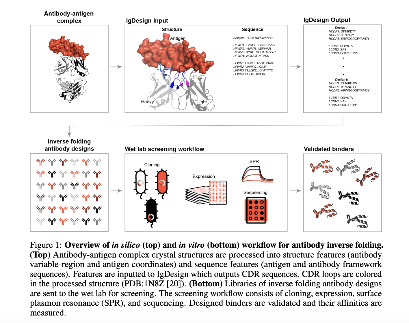 Absci Bio Releases IgDesign: A Deep Learning Approach Transforming Antibody Design with Inverse Folding