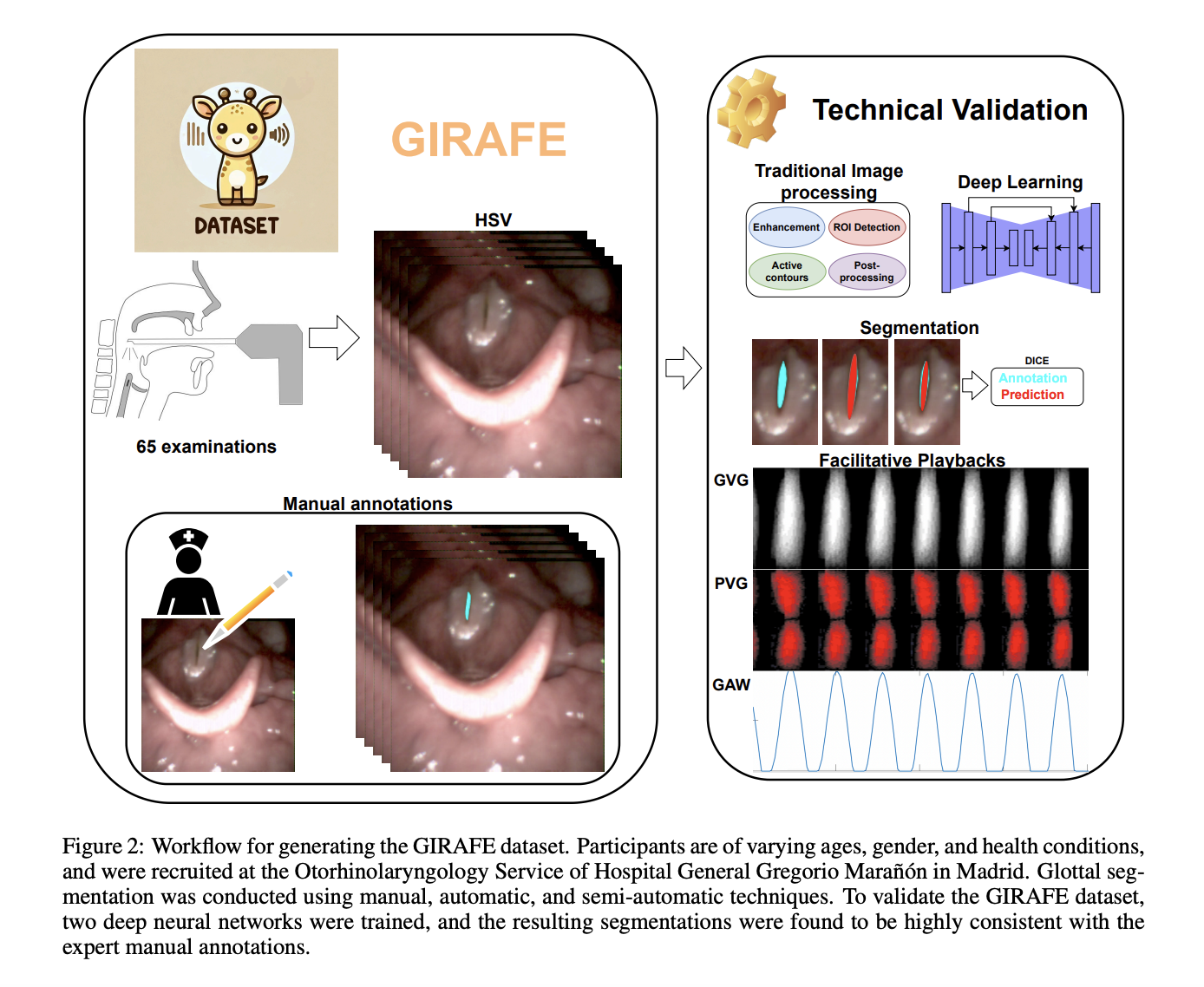  Deep Learning and Vocal Fold Analysis: The Role of the GIRAFE Dataset