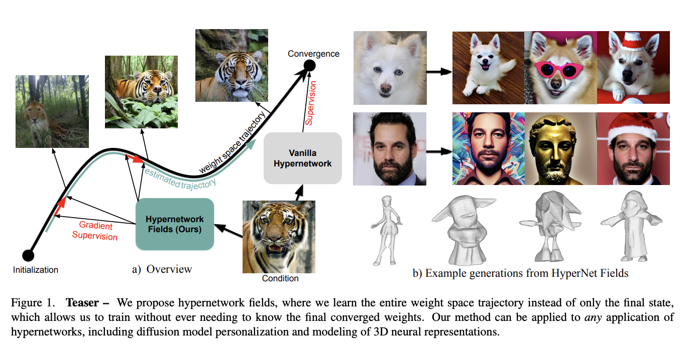  Hypernetwork Fields: Efficient Gradient-Driven Training for Scalable Neural Network Optimization