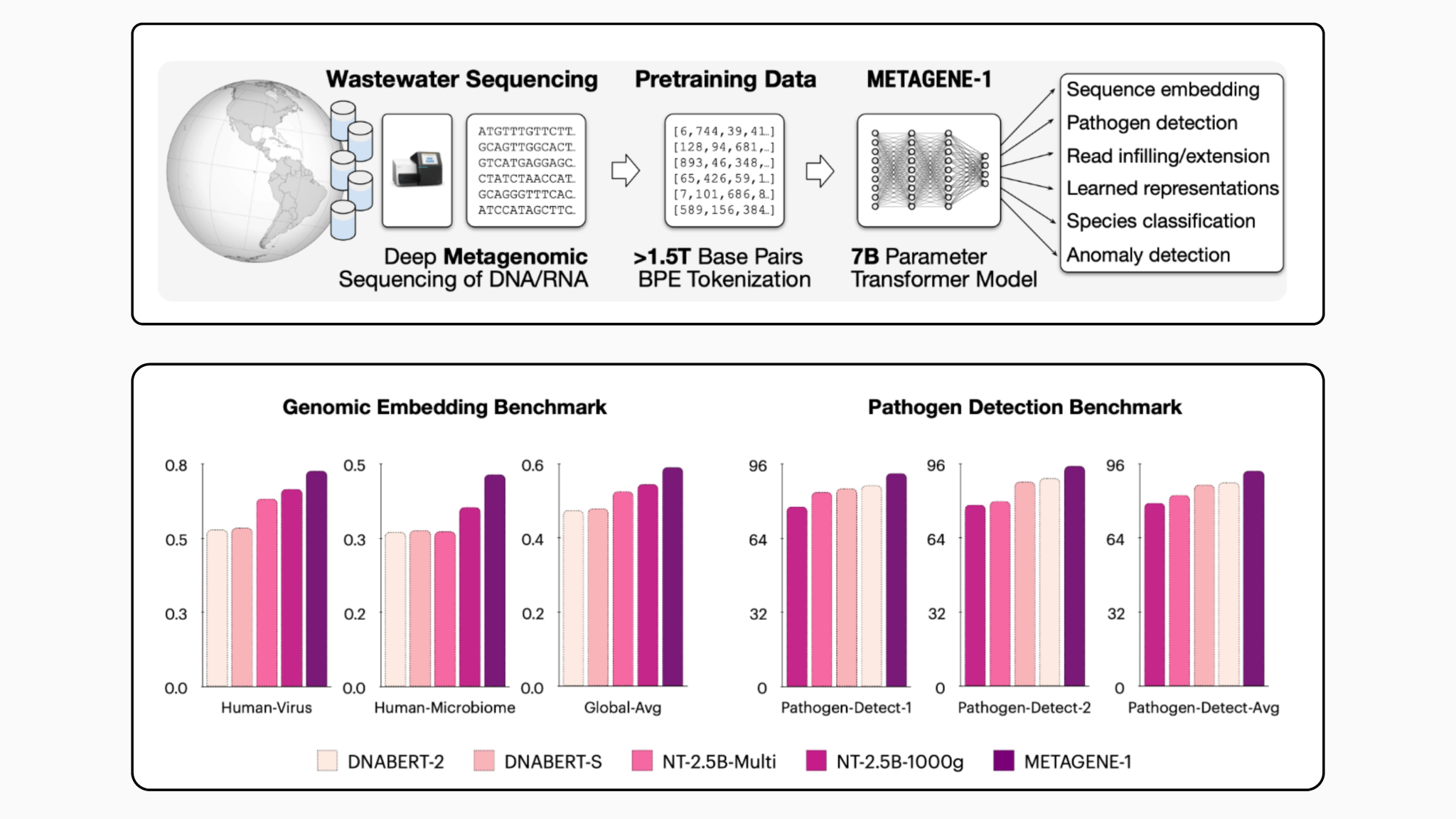  Researchers from USC and Prime Intellect Released METAGENE-1: A 7B Parameter Autoregressive Transformer Model Trained on Over 1.5T DNA and RNA Base Pairs