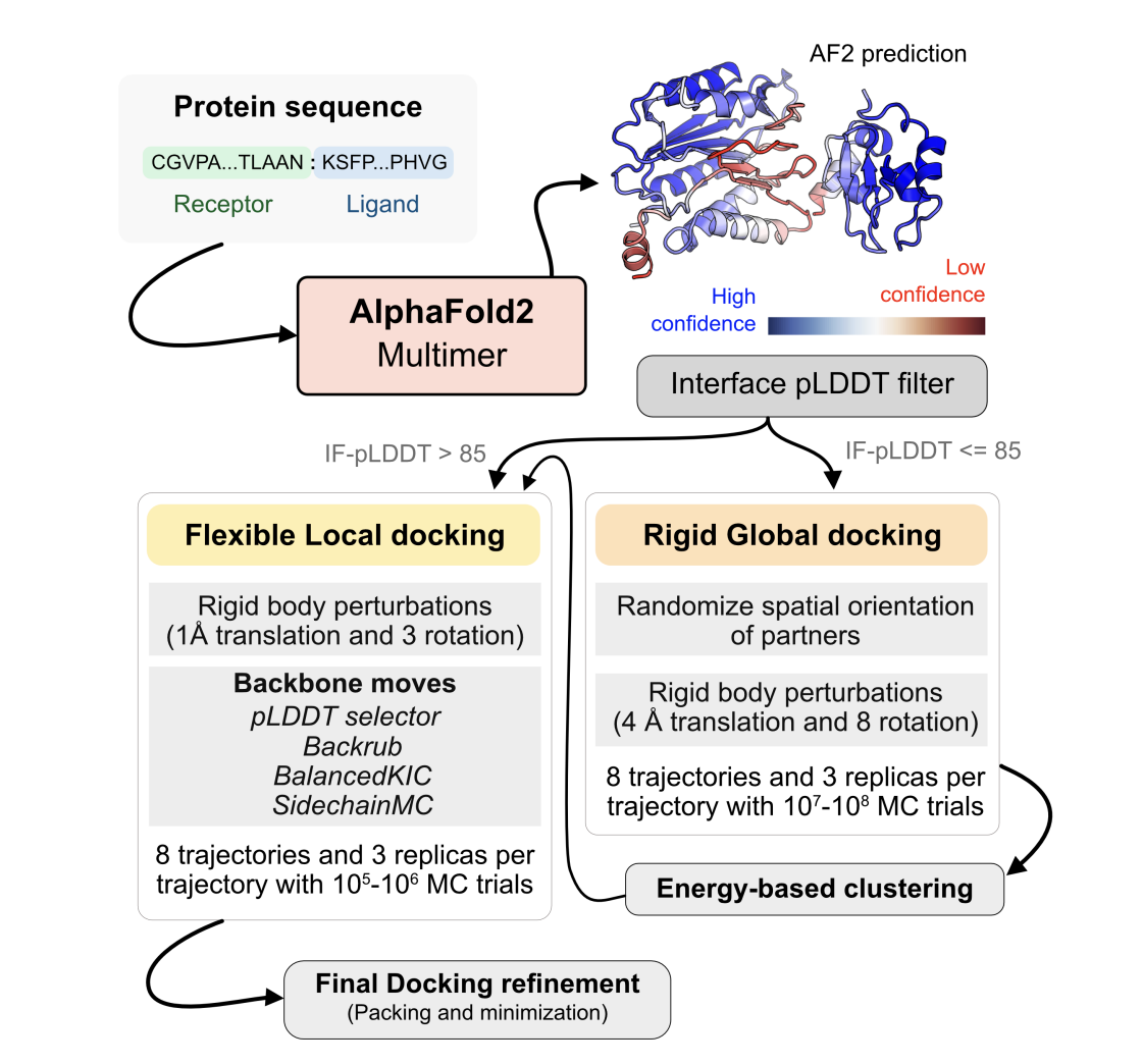  Enhancing Protein Docking with AlphaRED: A Balanced Approach to Protein Complex Prediction