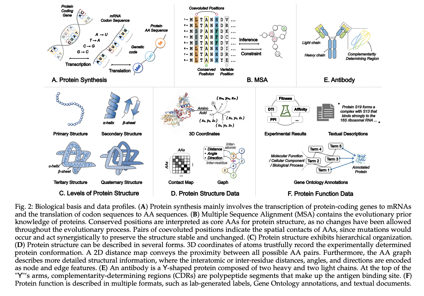  Advancing Protein Science with Large Language Models: From Sequence Understanding to Drug Discovery