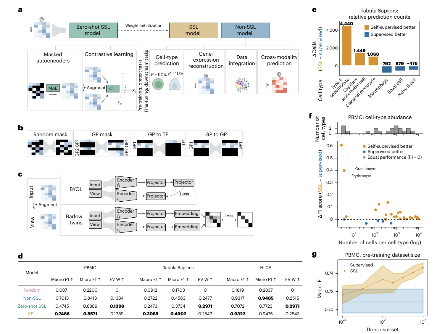  Advancing Single-Cell Genomics with Self-Supervised Learning: Techniques, Applications, and Insights