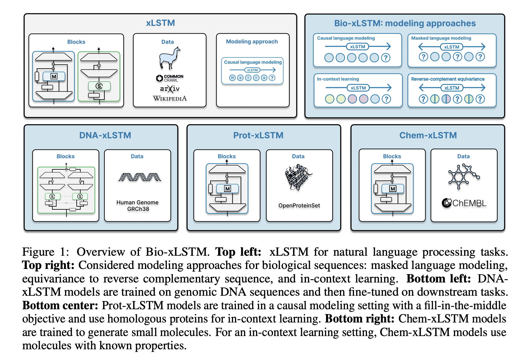  Bio-xLSTM: Efficient Generative Modeling, Representation Learning, and In-Context Adaptation for Biological and Chemical Sequences