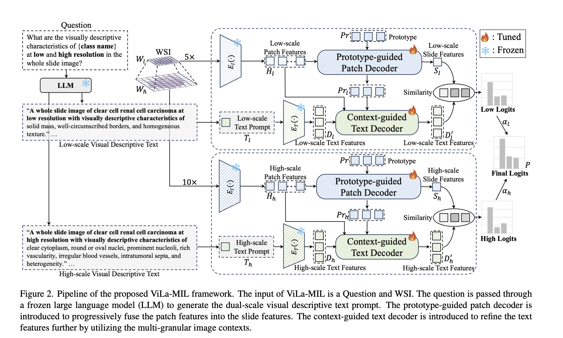 ViLa-MIL: Enhancing Whole Slide Image Classification with Dual-Scale Vision-Language Multiple Instance Learning